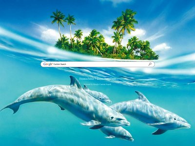 Dolphins Theme