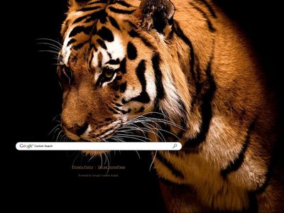 Tiger Theme